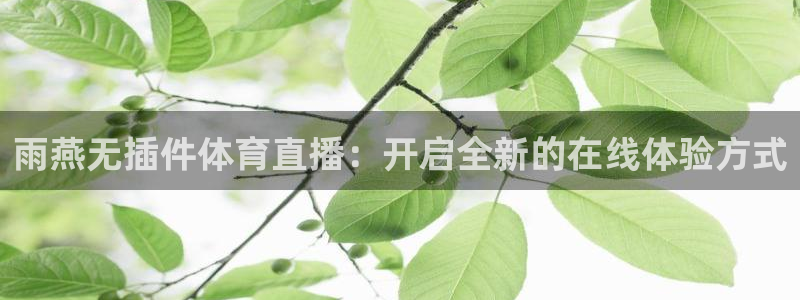 蓝鲸直播体育直播在线观看：雨燕无插件体育直播：开启全新的在线体验方式