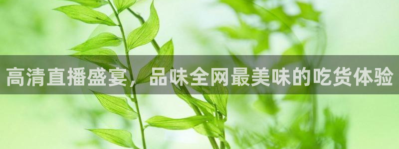 蓝鲸nba直播：高清直播盛宴，品味全网最美味的吃货体验