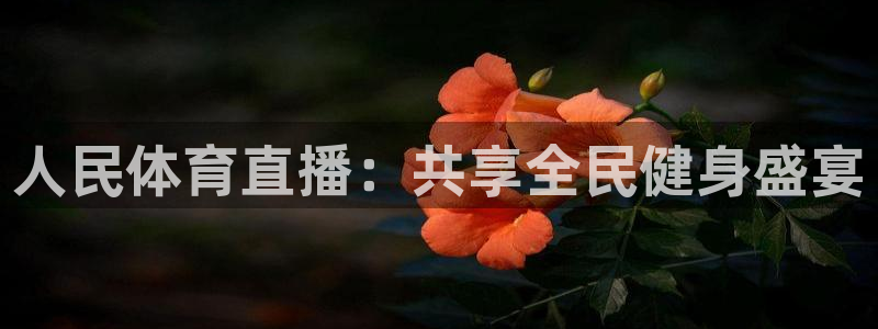 蓝鲸直播安全吗：人民体育直播：共享全民健身盛宴