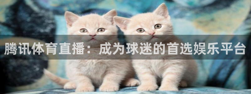 蓝鲸体育直播网页版：腾讯体育直播：成为球迷的首选娱乐平台