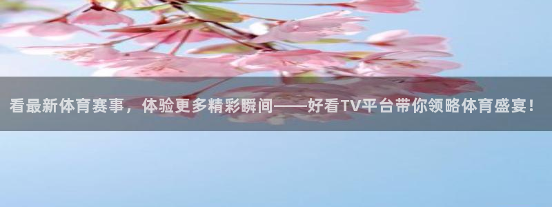 蓝鲸直播体育app：看最新体育赛事，体验更多精彩瞬间——好看TV平台带你领略体育盛宴！