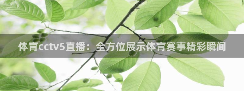 蓝鲸电视：体育cctv5直播：全方位展示体育赛事精彩瞬间