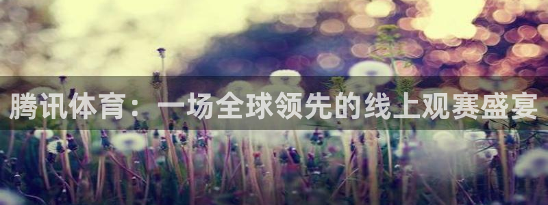 蓝鲸视频实拍：腾讯体育：一场全球领先的线上观赛盛宴