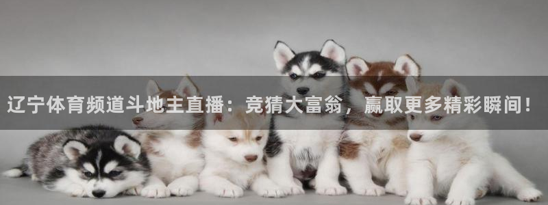 蓝鲸直播app ios：辽宁体育频道斗地主直播：竞猜大富翁，赢取更多精彩瞬间！