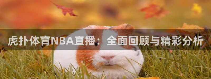 蓝鲸视频实拍：虎扑体育NBA直播：全面回顾与精彩分析