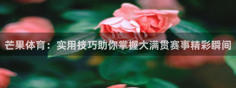 蓝鲸直播男：芒果体育：实用技巧助你掌握大满贯赛事精彩瞬间
