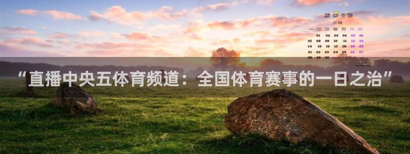 蓝鲸直播现在叫什么：“直播中央五体育频道：全国体育赛事的一日之治”